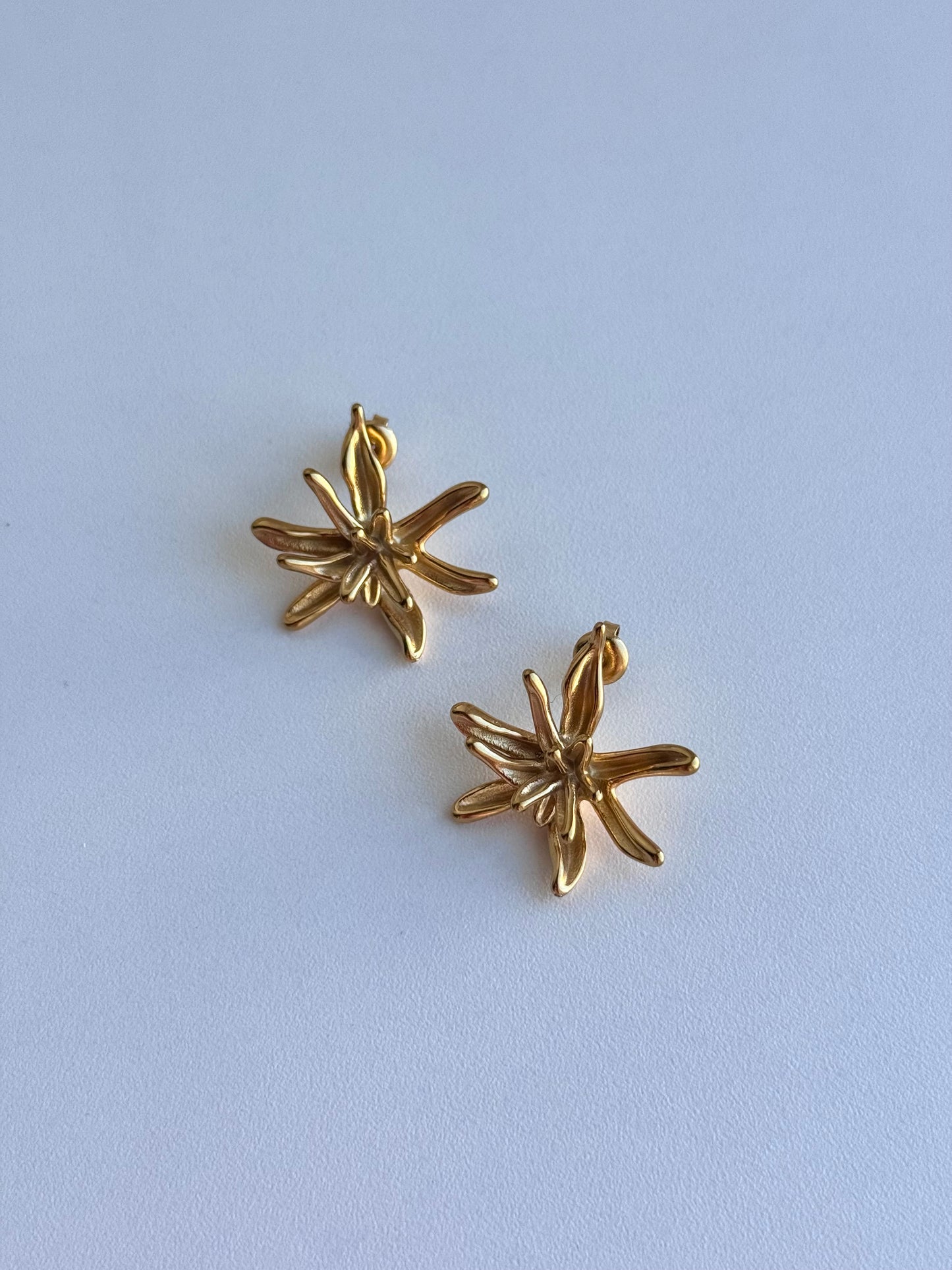 Brincos Floral
